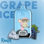 FUMOT Grape Ice RandM Tornado 12000 Digital Box Disposable Züge Vape