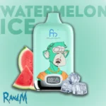 FUMOT Watermelon Ice RandM Tornado 12000 Digital Box Disposable Züge Vape kaufen deutschland