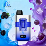 Black ice &Grape ice 10-piece set