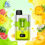 Peach mango watermelon &pina colada 10-piece set